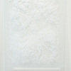 Phillip Buntin, Néantisation, 2012